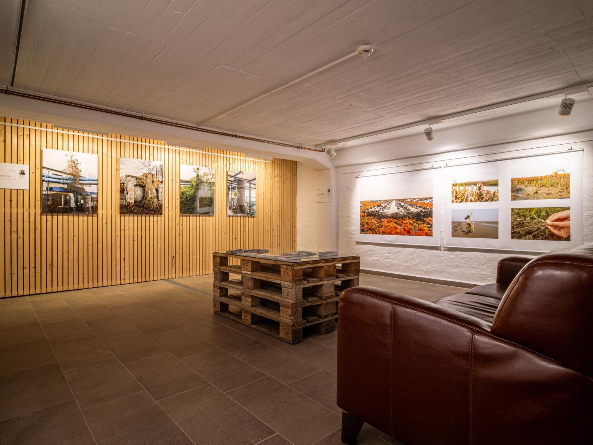 Hotel Stone Zingst Luaran gambar